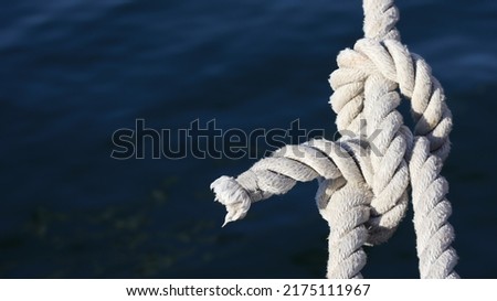 Up close and off center picture of a cool knot - great texture or background
