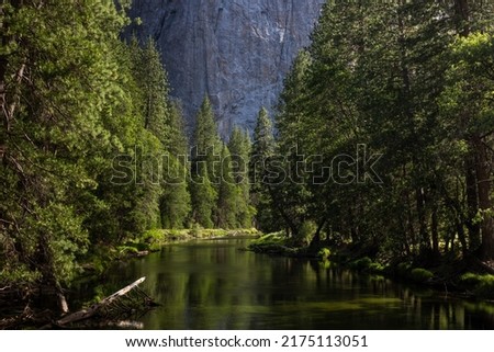 Scenic view of famous Yosemite Valley green river on a beautiful sunny day, Yosemite National Park, California, USA Royalty-Free Stock Photo #2175113051