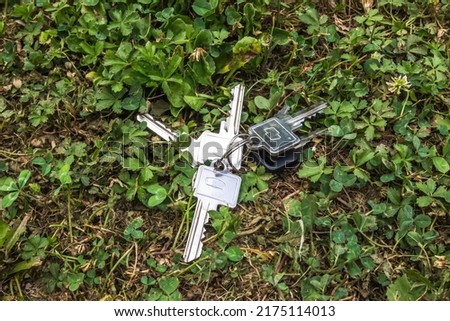 Bunch of home keys lying lost on grass