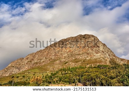 A bottom view picture of Table mountain. A beautiful nature view of a high mountain shaped like a lions head with forest, and a cloudy sky in the background. Copy space with scenic landscape view