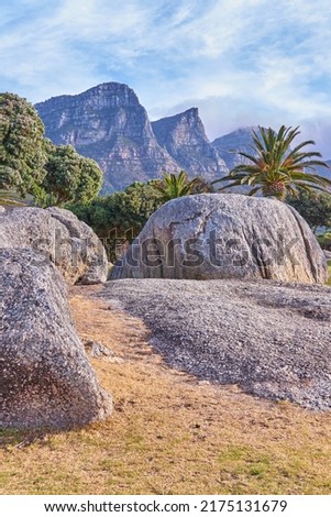 Camps Bay, Table Mountain National Park, Cape Town, South Africa during suet on a summer day. Rocks and boulders against a majestic mountain background with lush green palm trees and a clear blue sky
