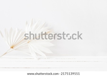 White palm leaves on white wooden table surface and white wall background