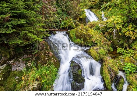 Magnificent high cascading waterfall Triberg. The powerful jets of the waterfall thunder and rumble. Picturesque Black Forest. Germany. Journey to the World of Water.  Royalty-Free Stock Photo #2175154047