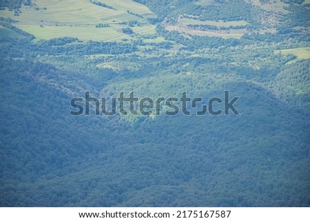 landscape with forest from mountain peak
