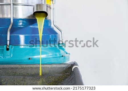 Production process of extra virgin olive oil at factory. Olive oil pours from tap of spin machine. Copy space Royalty-Free Stock Photo #2175177323
