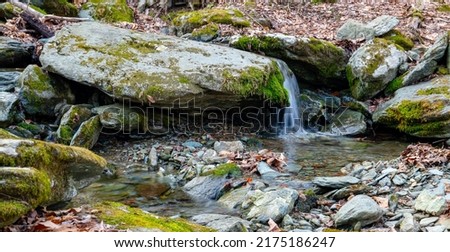 Small rocky Appalachian mountain stream in forest, late fall early winter