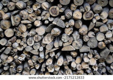 Pile of firewood in the forest