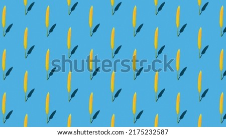 A pattern of a large number of yellow bird feathers on a blue background. Minimal concept. Flat lay.
