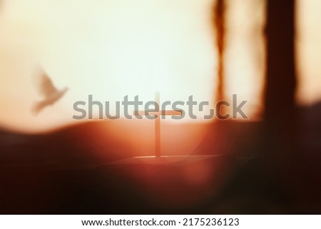 The bright sun and the sunset forest white dove and the holy cross of Jesus Christ symbolize death and resurrection. Royalty-Free Stock Photo #2175236123