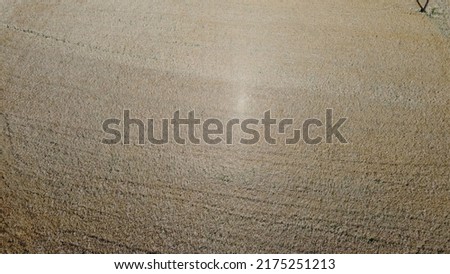 Aerial shot of a large field of ripe yellow wheat used to make white flour for bread and pastries