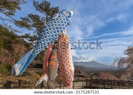 (Koinobori) is carp picture scroll to decorate for the growth of Japanese boys
