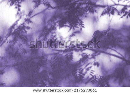 Creative copy space with shadows of leaf on a soft violet wall. Top view of leaves shades on the Very Peri background. Flat lay style. Minimal summer concept with flower shades. Royalty-Free Stock Photo #2175293861