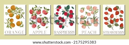 Set of fruit market elegant art posters and banners with hand drawn vector fruits. Summer fruit orchard posters and cards