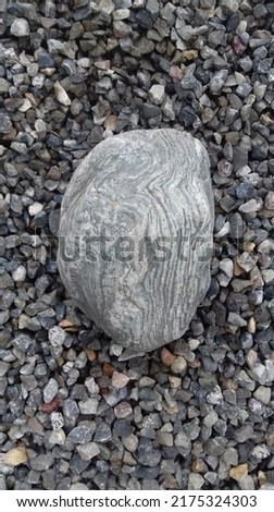 This is a stone liy picture
