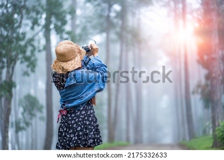 Back view of a young woman taking a picture of a sunrise, sunset at the pine forest with her camera