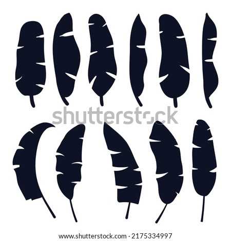 Banana Plantain Leaf's Vector Silhouettes Collections Royalty-Free Stock Photo #2175334997