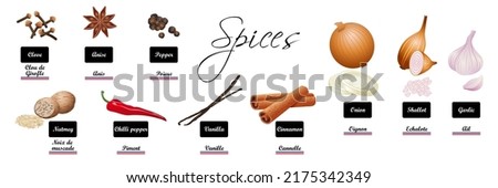Realistic collection of spices and condiments - Culinary plants: clove, anise, pepper, nutmeg, chilli, vanilla, cinnamon, onion, shallot, garlic - french, english text. Royalty-Free Stock Photo #2175342349