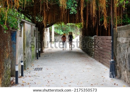 Tourists walk in a lane between old mottled houses under the aerial roots of a banyan tree in the former military dependents' village which is now a nostalcic attraction in Magong City, Penghu, Taiwan