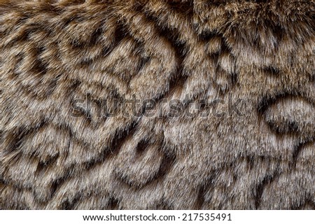 Close up wool for texture to background