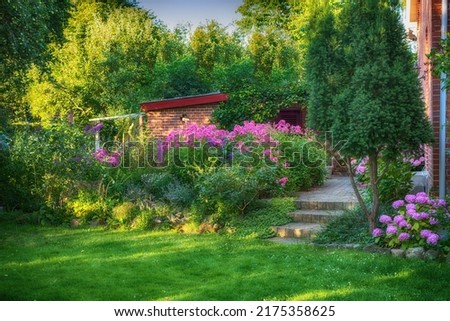 Landscape of pink flowers in lush backyard garden in summer. Purple plants growing in a botanical garden in spring. Beautiful violet flowering plants budding in green yard. Flora flourishing outdoors Royalty-Free Stock Photo #2175358625
