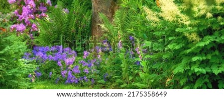 Landscape of flowers in a green forest in summer. Purple plants growing in a lush botanical garden in spring. Beautiful violet flowering plants budding in its natural environment in the summertime