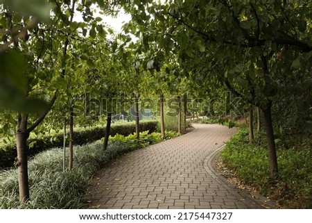 Curved path in a park with trees and plantation
 Royalty-Free Stock Photo #2175447327