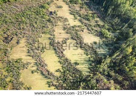 Swamp forest with abandoned peat extraction areas top down aerial view
