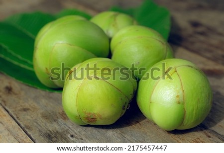 Elephant apple or Chalta of South East Asia (Dillenia indica)
