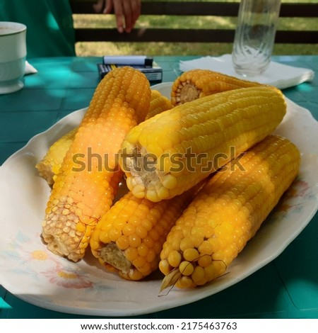 plate with corn on the cob, Zea mays