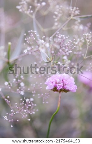 Delicate light purple floral background, close up, selective focus, blurred. Vertical wallpaper