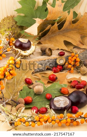 Picture of autumn with brown acorns,  chestnuts, rosehip, seabuckthorn, autumn leaves, on wooden background