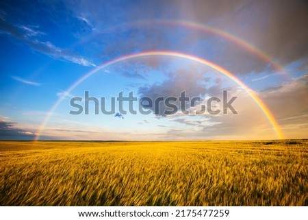 Tranquil agricultural landscape with a magical rainbow at sunset. Agrarian land of Ukraine, Europe. Force of nature. Vibrant summertime photo wallpaper. Image of an exotic phenomenon. Beauty of earth. Royalty-Free Stock Photo #2175477259