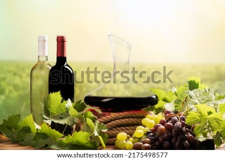 Two bottles of wines and Decanter  with vineyard on the background  close up

