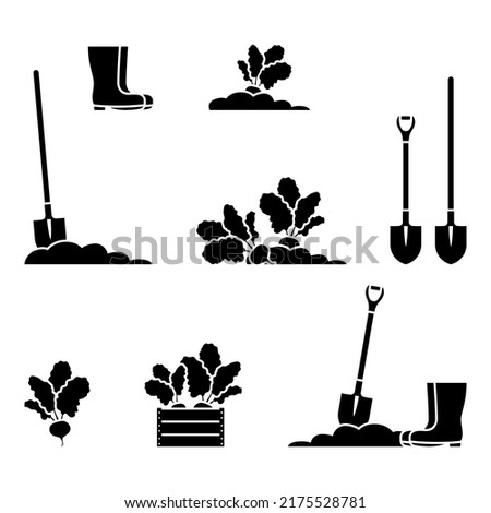 Harvesting beet root vegetable vector illustration set. Gardening, farming, shovel, spade, gum boots icon pictogram Royalty-Free Stock Photo #2175528781