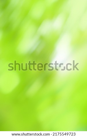Chlorine greenery  blurred background. Pistachio color blur bokeh.