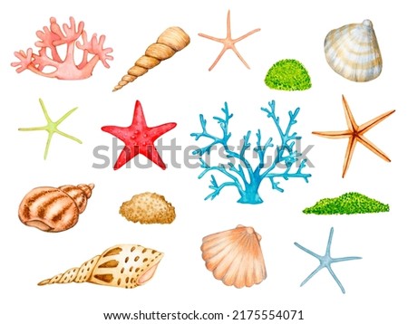 Large set of sea, ocean, aquarium, marine watercolor elements. Shells, corals, starfish, algae. Collection of clipart isolated on white background.