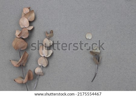 Empty Blank texture canvas paper and dry eucalyptus leaf branch  with copy space for your text message. Minimalism style template background. Flat lay, top view.