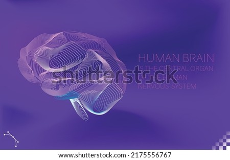 beautiful colorful human brain cerebellum organ side view line art on dark background. Similar to a 3D modeling rig, a geometric mesh pattern