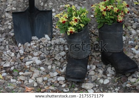 Rough men's boots with a growing plant blooming flowers inside shoes standing on stones with a shovel in gravel image concept environmental protection and social issues