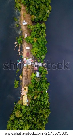 Island on the Amazon River