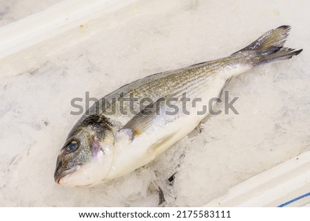Fish with a head in a grocery store fridge, selective focus. Background with copy space for text