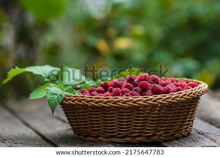 Fresh organic ripe raspberry wood table background woven basket fruit,