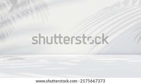 abstract background in light colors with a shadow of tropical leaves for product display product advertising