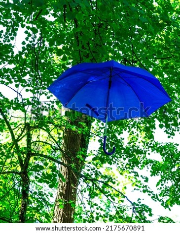 Colored umbrellas in the summer in a city park against the background of green leaves of trees.