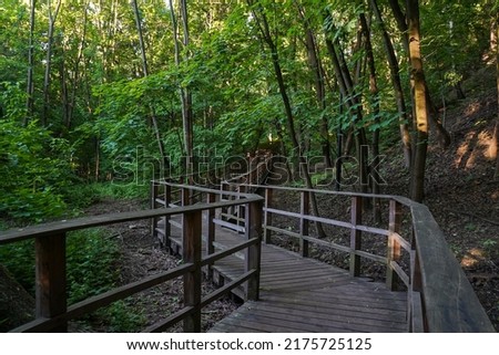 Eco path wooden walkway among trees in a forest in summerday Royalty-Free Stock Photo #2175725125