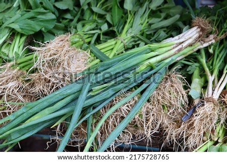 Spring onion leaves among other vegetables