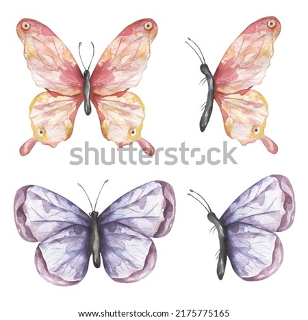 Delicate pink and violet butterfly Clipart Set, Watercolor Insects illustration, Butterflies clip art, Wedding Invitation, Logo design, baby shower card