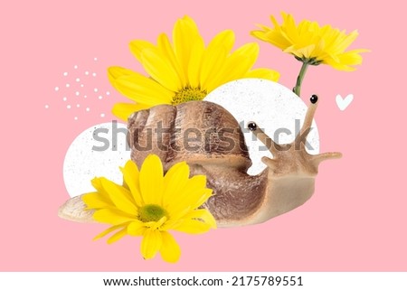 Pop trend artwork collage of big huge snail moving slowly in yellow dandelion garden isolated