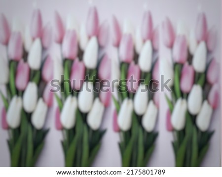 blur photo beautiful tulip color for background and for cover design