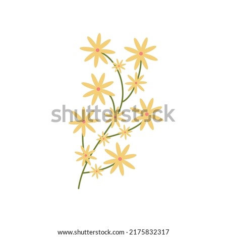 Delicate green twig with yellow flowers. Botanical elements. Meadow herbs, wildflowers. Floral Herb Design elements. Spring botanical vector illustration on white background